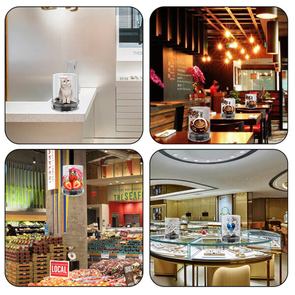 Factory Direct Sales 360degree Desktop Holographic Display 3d Cylinder Hologram Led Fan Air Display
