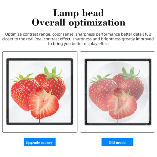 45cm 3D Hologram Fan Advertising Equipment 3D LED Holographic Display with 50cm Square Safety Acrylic Cover/Cases
